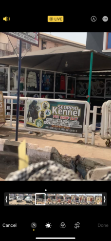 SCORPIO Kennel PET SHOP SAY